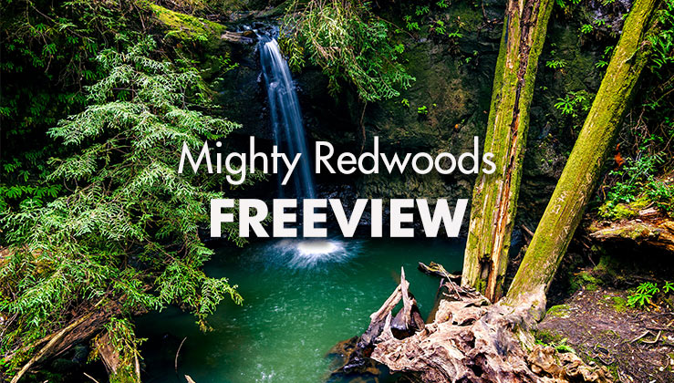 Mighty-Redwoods-Freeview_739x420px