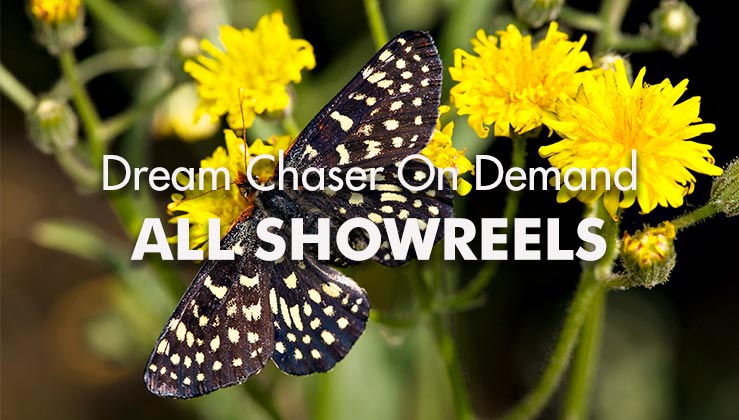 Dream-Chaser-On-Demand-All-Showreels_739x420px