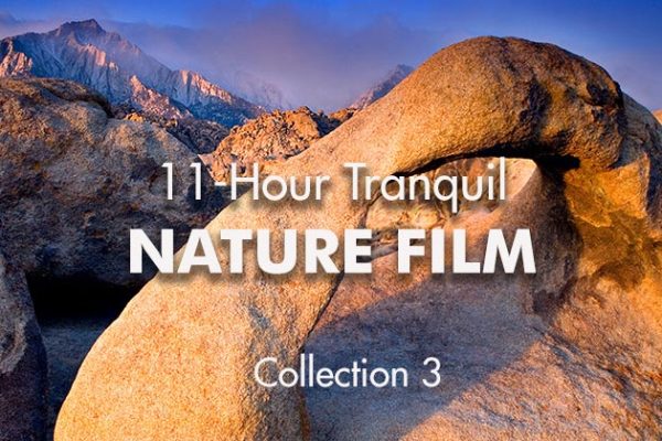 11-Hour-Tranquil-Nature-Film3-No-Logo_739x420px
