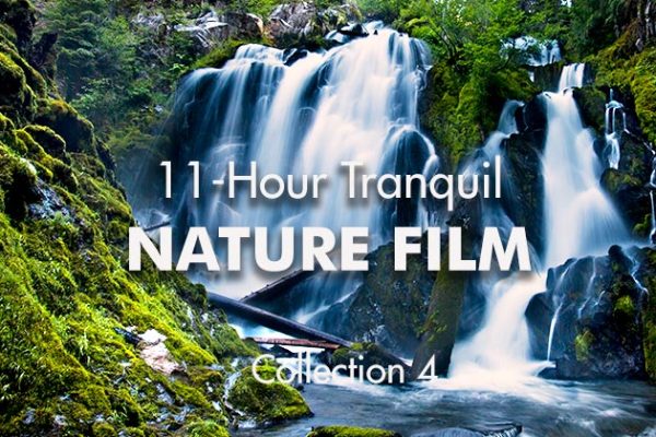 11-Hour-Tranquil-Nature-Film4-No-Logo_739x420px