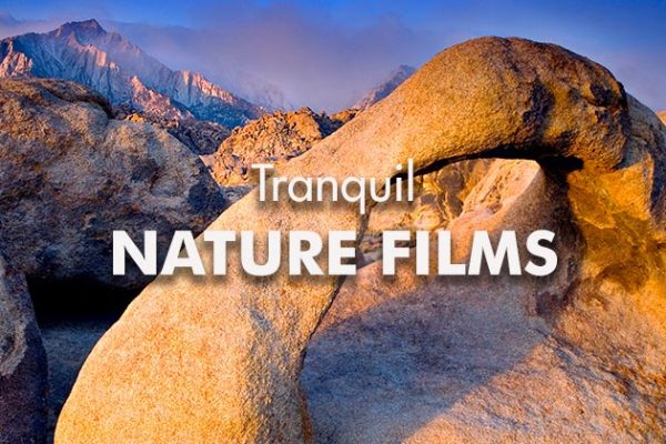 Category-Nature-Films_739x420px