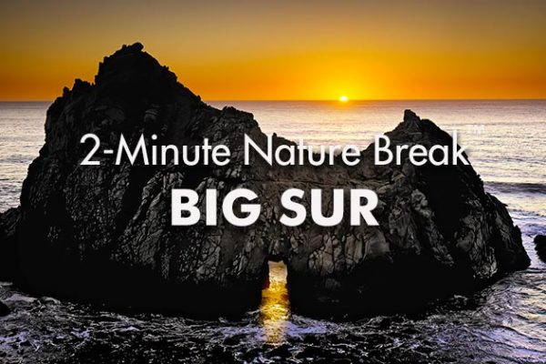 Big-Sur-Nature-Break2_739x420px