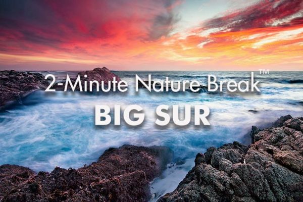 Big-Sur-Nature-Break3_739x420px