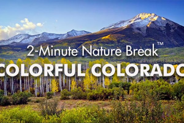 Colorful-Colorado-Nature-Break1_739x420px