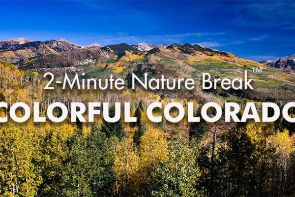 Colorful-Colorado-Nature-Break21_739x420px