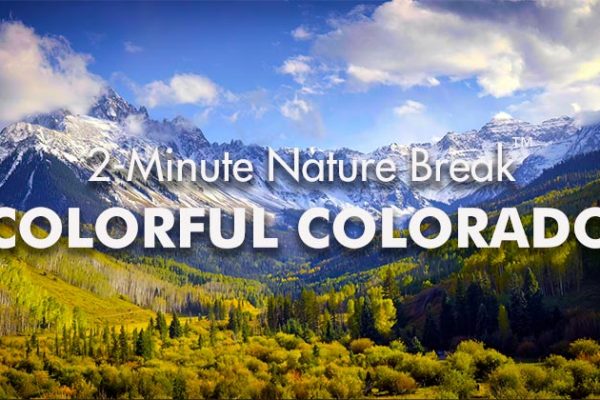 Colorful-Colorado-Nature-Break3_739x420px