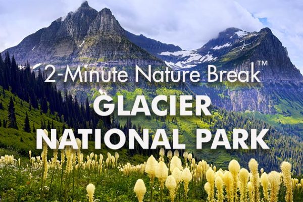 Glacier-Nature-Break1_739x420px