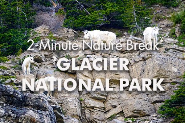 Glacier-Nature-Break2_739x420px