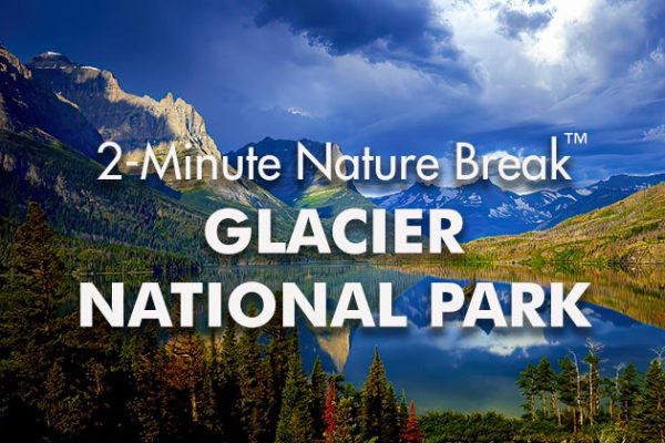 Glacier-Nature-Break3_739x420px