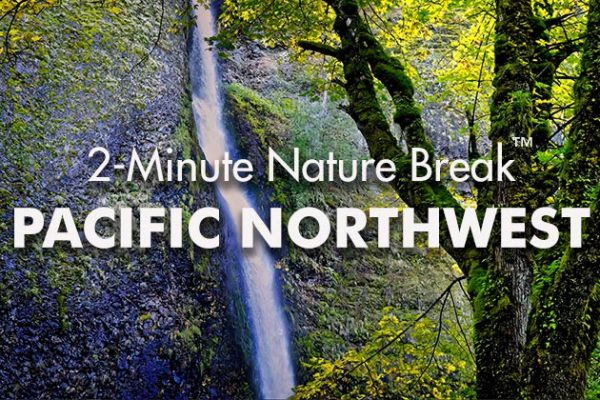 PNW-Nature-Break2_739x420px