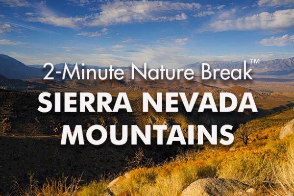 Sierra-Nature-Break1_739x420px
