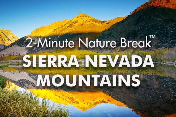 Sierra-Nature-Break2_739x420px