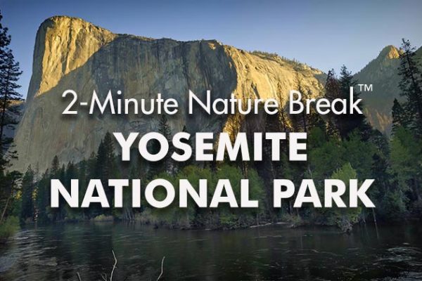 Yosemite-Nature-Break1_739x420px