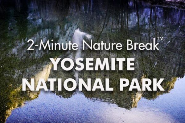 Yosemite-Nature-Break2_739x420px