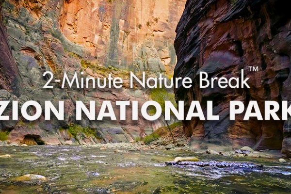 Zion-Nature-Break1_739x420px