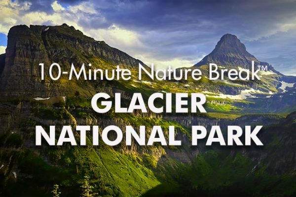 Glacier-10-Minute-Nature-Break1_739x420px