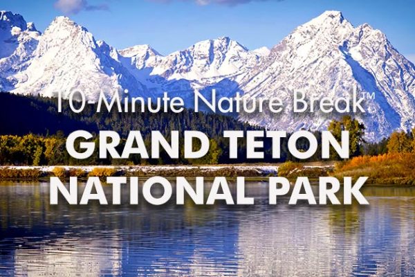 Grand-Teton-10-Minute-Nature-Break1_739x420px