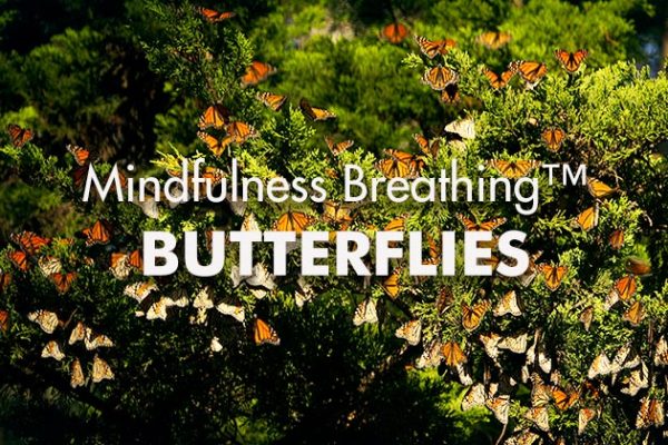 MIndfulness-Breathing-Butterflies1_739x420px