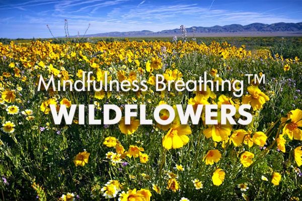 MIndfulness-Breathing-Wildflowers1_739x420px