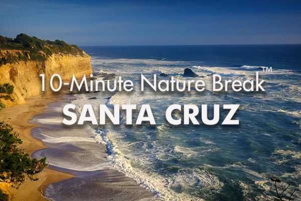 Santa-Cruz-10-Minute-Nature-Break1_739x420px