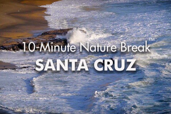 Santa-Cruz-10-Minute-Nature-Break2_739x420px