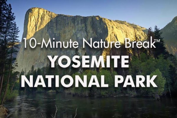 Yosemite-10-Minute-Nature-Break1_739x420px