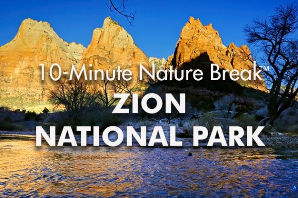 Zion-10-Minute-Nature-Break1_739x420px