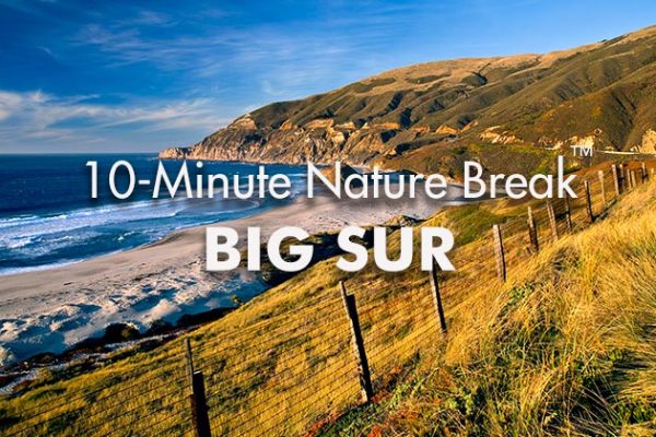 Big-Sur-10-Minute-Nature-Break1_739x420px