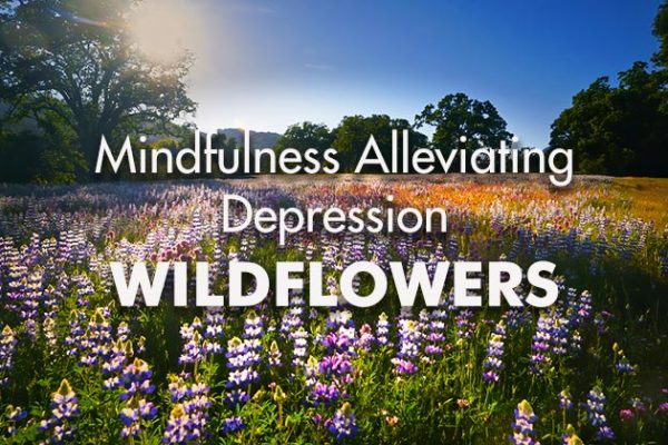 Wildflowers-10-Minute-Alleviating-Depression1_739x420px
