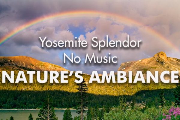 Yosemite-Splendor_NM-739x420px