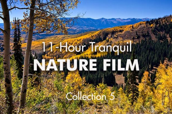 11-Hour-Tranquil-Nature-Film5-No-Logo_739x420px