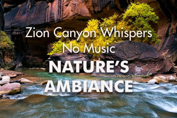 Zion-Canyon-Whispers-NM_739x420px